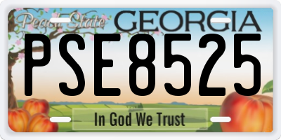 GA license plate PSE8525