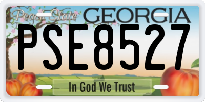 GA license plate PSE8527
