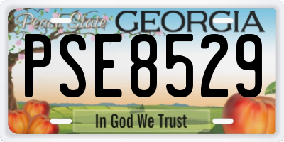GA license plate PSE8529