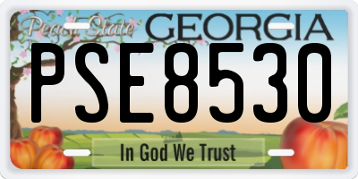 GA license plate PSE8530