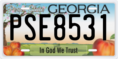 GA license plate PSE8531