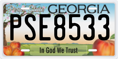 GA license plate PSE8533