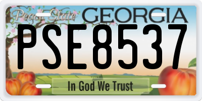 GA license plate PSE8537