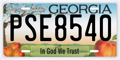 GA license plate PSE8540
