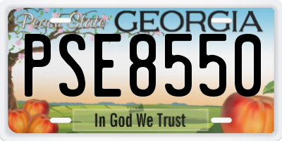 GA license plate PSE8550