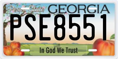 GA license plate PSE8551