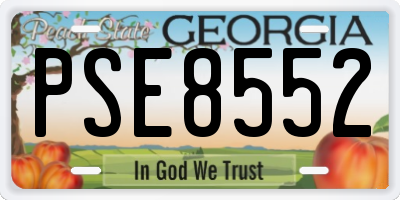 GA license plate PSE8552