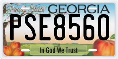 GA license plate PSE8560