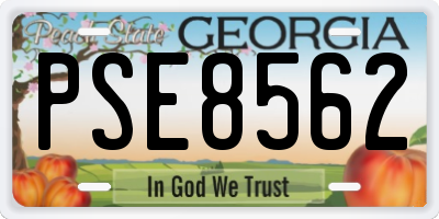 GA license plate PSE8562