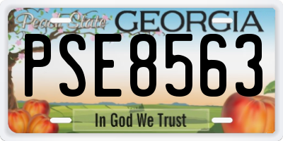 GA license plate PSE8563