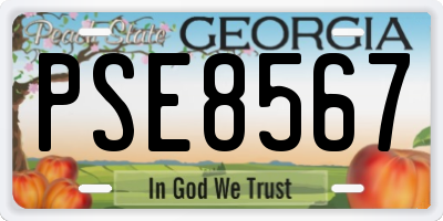 GA license plate PSE8567