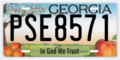 GA license plate PSE8571