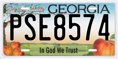 GA license plate PSE8574