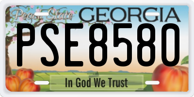 GA license plate PSE8580
