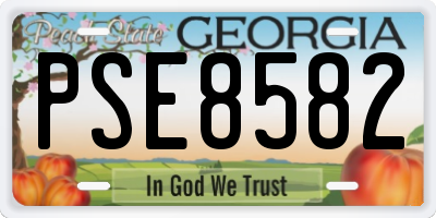 GA license plate PSE8582