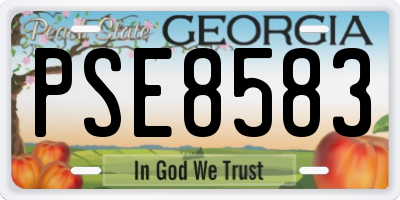 GA license plate PSE8583