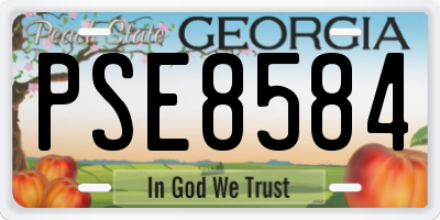 GA license plate PSE8584