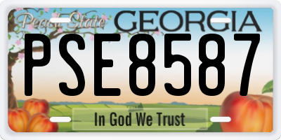 GA license plate PSE8587