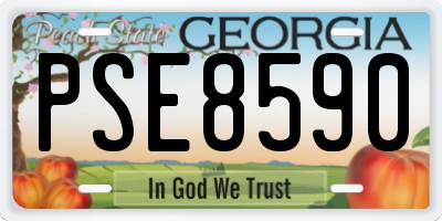 GA license plate PSE8590