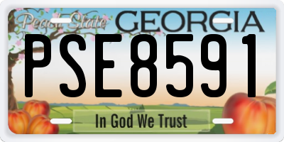 GA license plate PSE8591