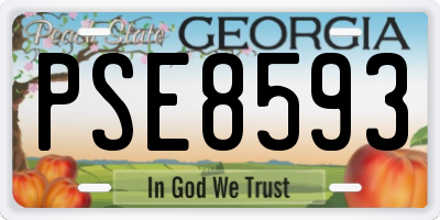 GA license plate PSE8593