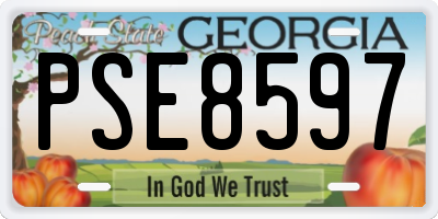 GA license plate PSE8597