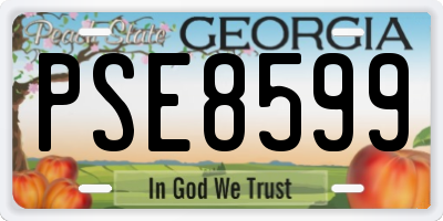 GA license plate PSE8599