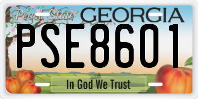 GA license plate PSE8601