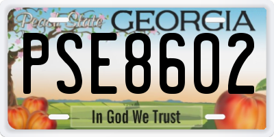GA license plate PSE8602