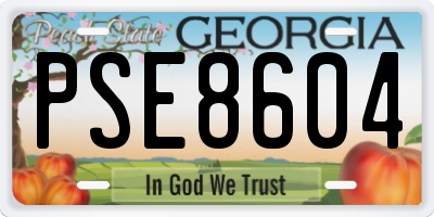 GA license plate PSE8604