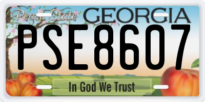 GA license plate PSE8607