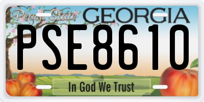 GA license plate PSE8610