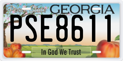 GA license plate PSE8611