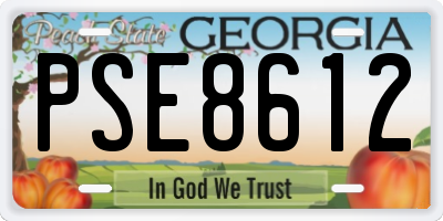 GA license plate PSE8612