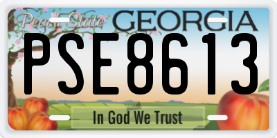GA license plate PSE8613