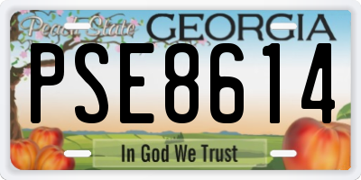 GA license plate PSE8614