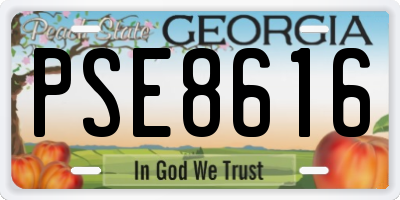 GA license plate PSE8616