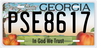 GA license plate PSE8617