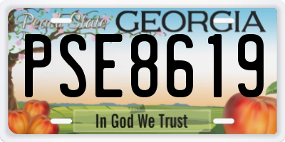 GA license plate PSE8619