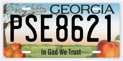 GA license plate PSE8621