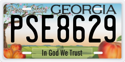 GA license plate PSE8629