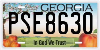 GA license plate PSE8630