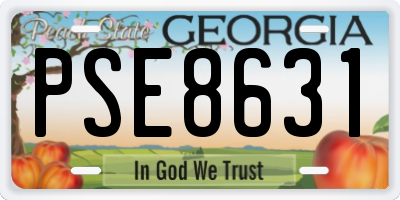 GA license plate PSE8631
