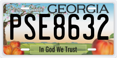 GA license plate PSE8632