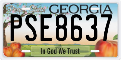 GA license plate PSE8637