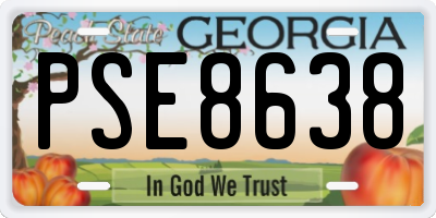 GA license plate PSE8638