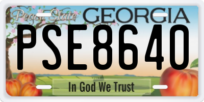 GA license plate PSE8640