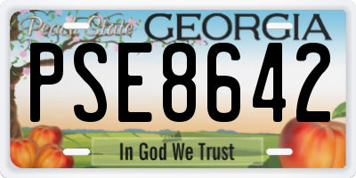 GA license plate PSE8642