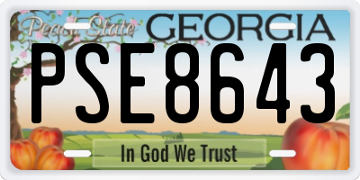 GA license plate PSE8643