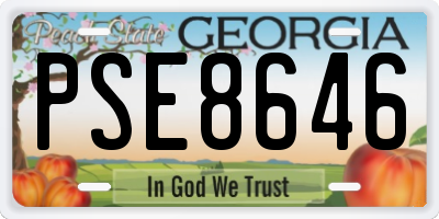 GA license plate PSE8646